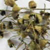 Buy Liberty Caps UK